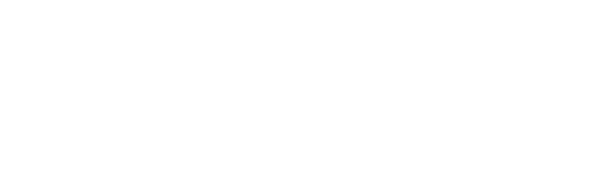 Limitless Brave